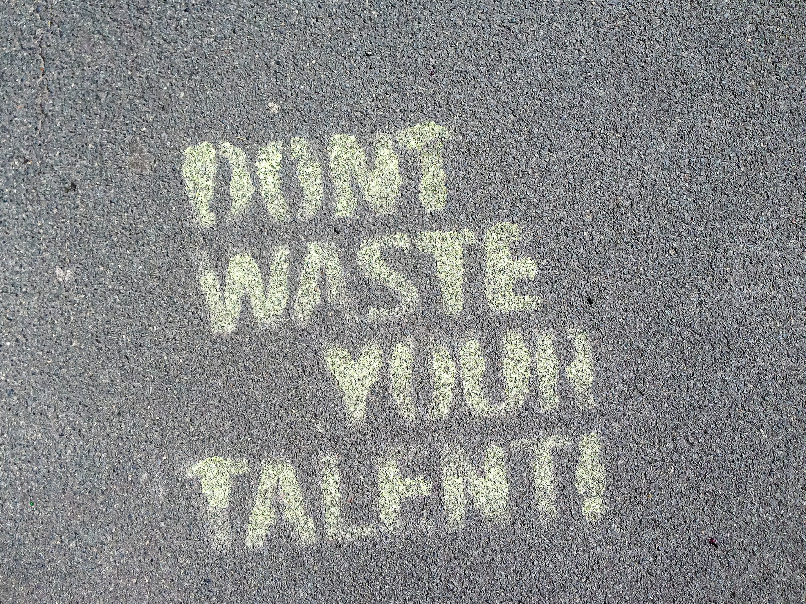 Don't waste your talent! Werk aan jouw Persoonlijke ontwikkeling en voltooi nu jouw inschrijving voor deze e-learning inclusief of exclusief coachgesprek.